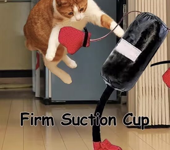 Universaalne lemmiklooma poksikott