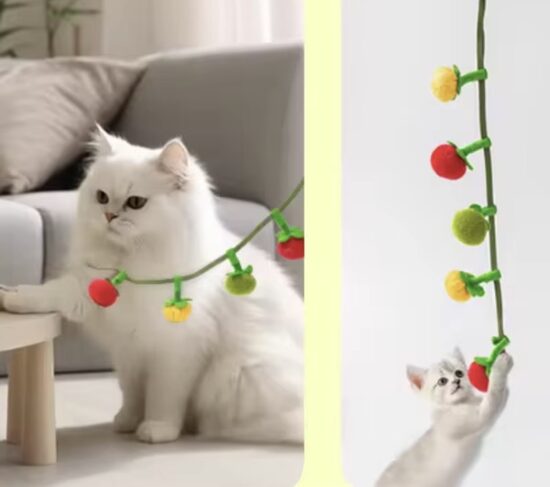 Universaalne lemmikloomamänguasi