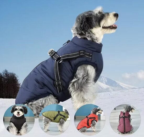 Universaalne lemmiklooma jope